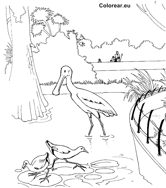 Desenho gratuito Zoológico #12833 da colecao Animais para imprimir
