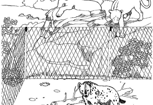 Página para colorir: Zoológico (Animais) #12846 - Páginas para Colorir Imprimíveis Gratuitamente