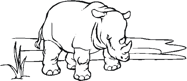Página para colorir: Zoológico (Animais) #12855 - Páginas para Colorir Imprimíveis Gratuitamente
