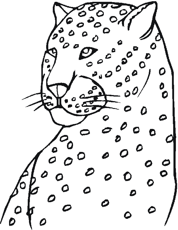 Página para colorir: Zoológico (Animais) #12884 - Páginas para Colorir Imprimíveis Gratuitamente