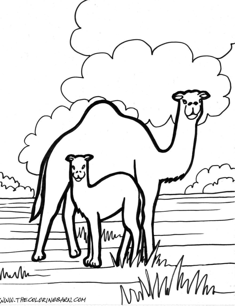 Página para colorir: Zoológico (Animais) #12885 - Páginas para Colorir Imprimíveis Gratuitamente