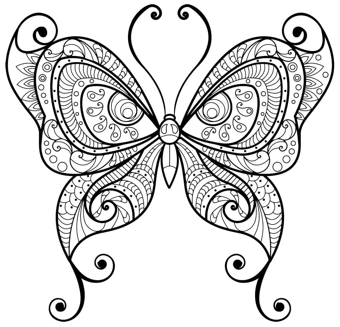 Atividade criativa: desenho de Borboleta Adulta #174337 para colorir da coleção Colorir Adultos