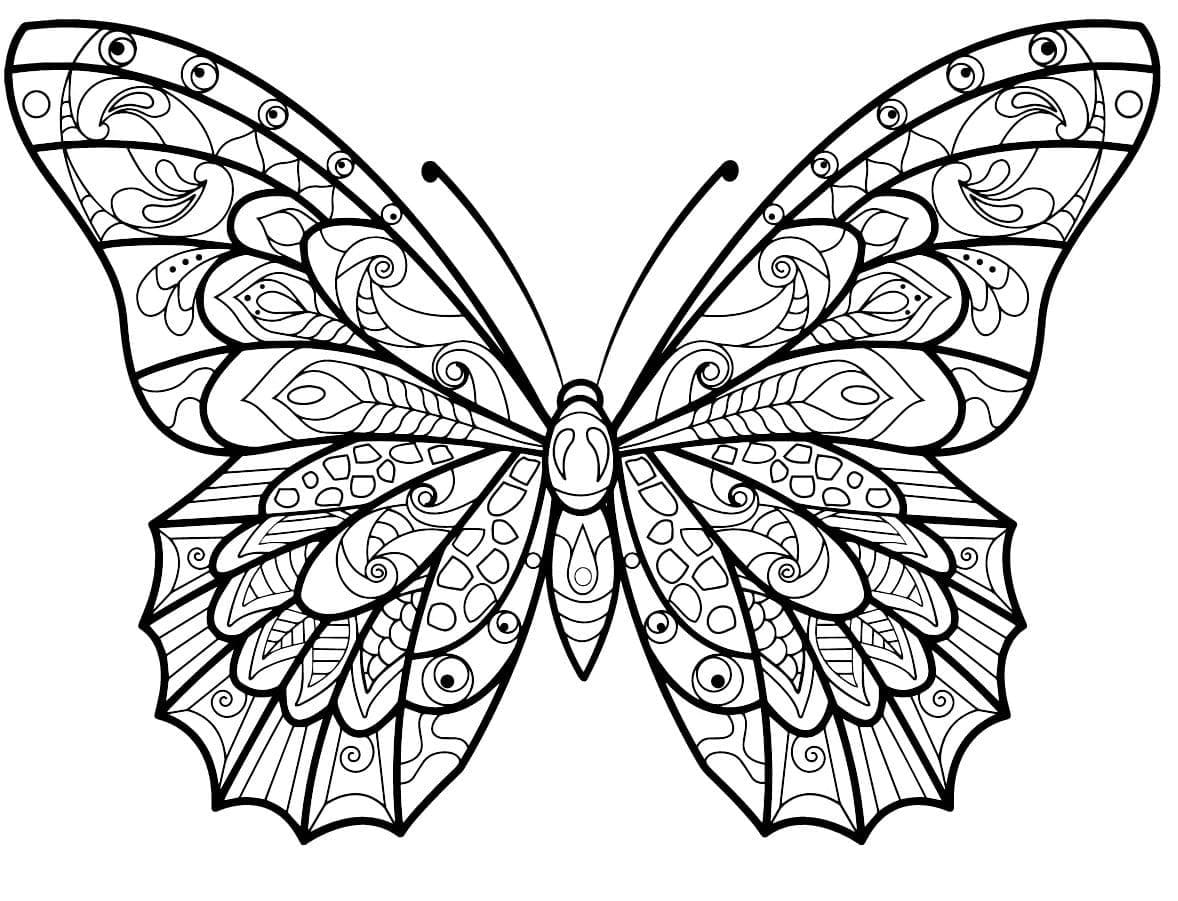 Desenho gratuito Borboleta Adulta #174338 da colecao Colorir Adultos para imprimir Desenho gratuito Borboleta Adulta #174338 da colecao Colorir Adultos para imprimir