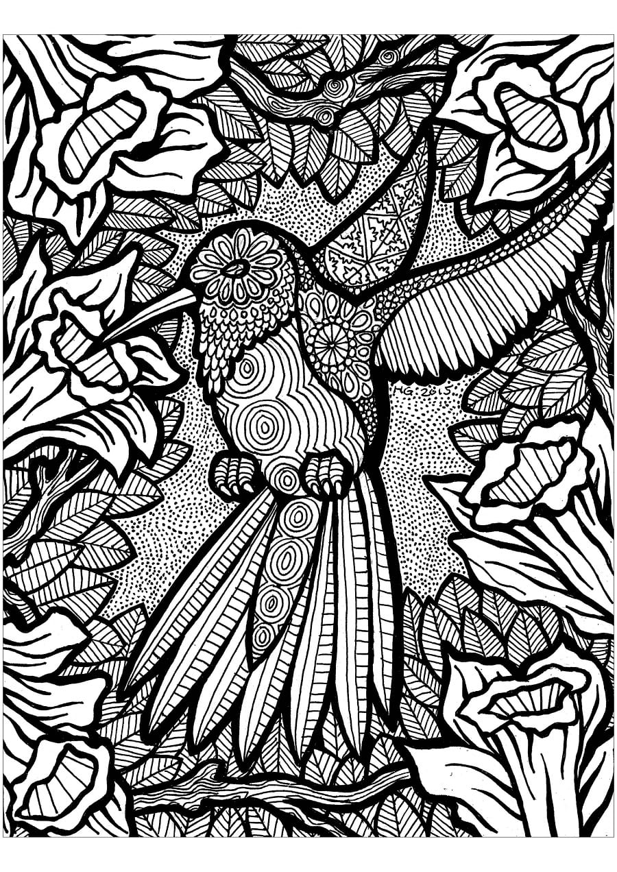 Desenho gratuito Zentangle #174357 da colecao Colorir Adultos para imprimir