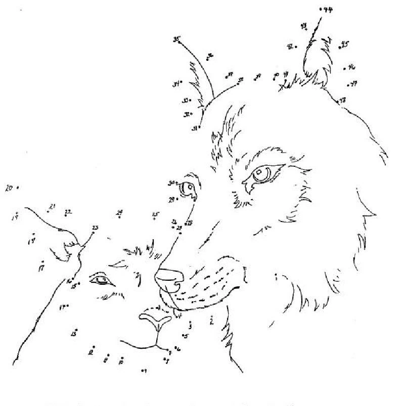 Página para colorir: Colorir de Ponto a Ponto (Colorir por Números) #125861 - Páginas para Colorir Imprimíveis Gratuitamente