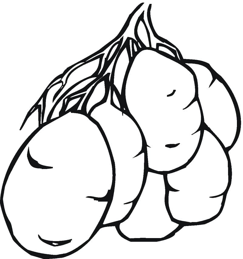 Página para colorir de Batata #207435 pertencente à coleção Comida e Nutrição