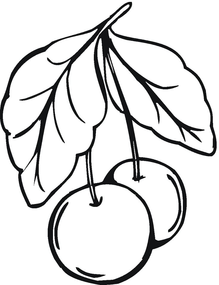 Desenho gratuito Cereja #190098 da colecao Comida e Nutrição para imprimir