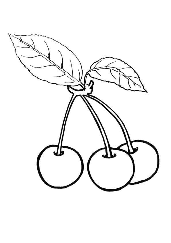 Desenho gratuito Cereja #190110 da colecao Comida e Nutrição para imprimir