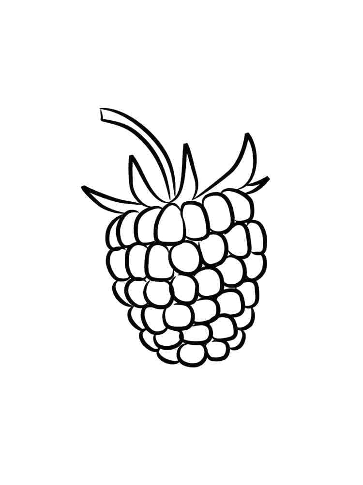 Desenho gratuito Framboesa #214011 da colecao Comida e Nutrição para imprimir Desenho gratuito Framboesa #214011 da colecao Comida e Nutrição para imprimir