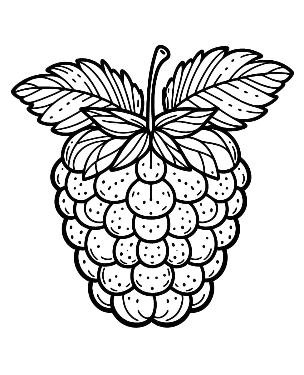 Desenho gratuito Framboesa #214018 da colecao Comida e Nutrição para imprimir Desenho gratuito Framboesa #214018 da colecao Comida e Nutrição para imprimir