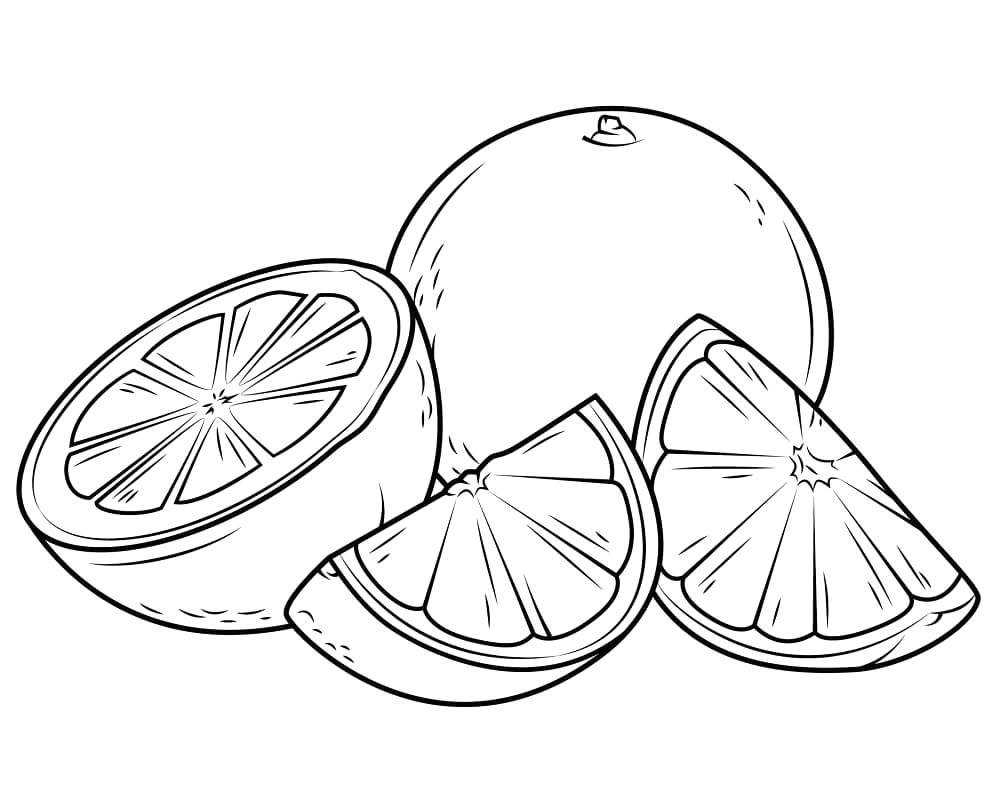 Desenho gratuito Laranja #208646 da colecao Comida e Nutrição para imprimir