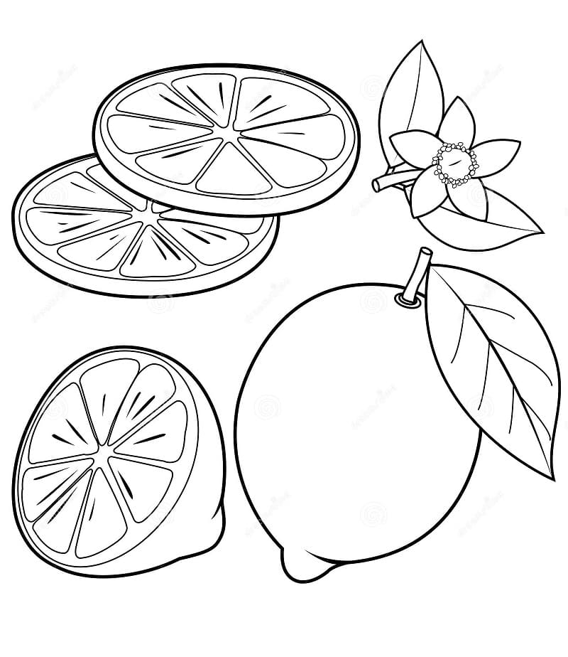 Desenho gratuito Limão #185012 da colecao Comida e Nutrição para imprimir