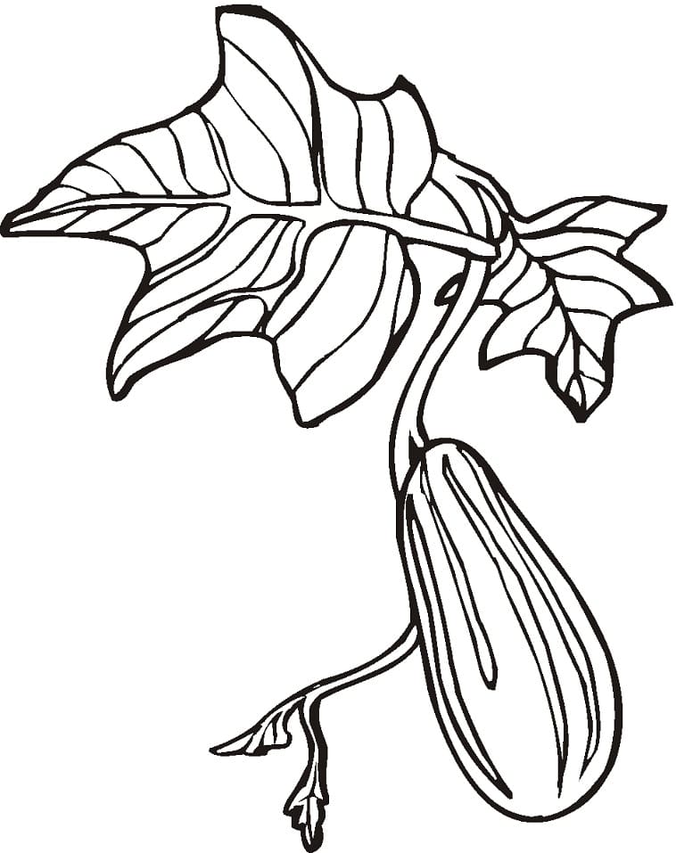 Desenho gratuito Pepino #207546 da colecao Comida e Nutrição para imprimir Desenho gratuito Pepino #207546 da colecao Comida e Nutrição para imprimir