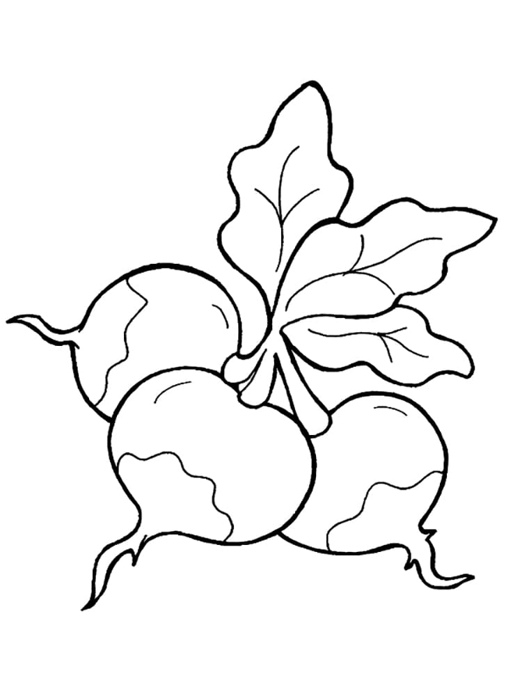 Desenho gratuito Rabanete #220976 da colecao Comida e Nutrição para imprimir