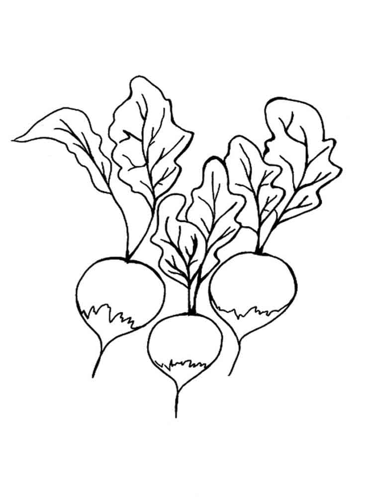 Desenho gratuito Rabanete #220985 da colecao Comida e Nutrição para imprimir Desenho gratuito Rabanete #220985 da colecao Comida e Nutrição para imprimir