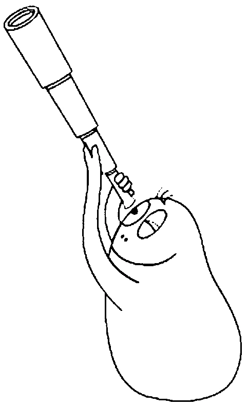 Desenho gratuito Barbapapa #36450 da colecao Desenhos Animados e Séries Animadas para imprimir
