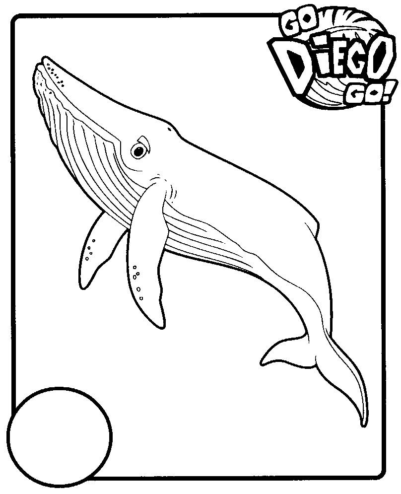 Desenho gratuito Go Diego! #48534 da colecao Desenhos Animados e Séries Animadas para imprimir