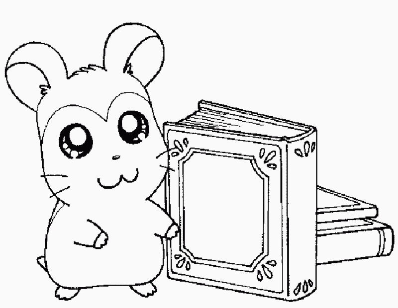 Página para colorir: Hamtaro (desenhos animados) #40117 - Páginas para Colorir Imprimíveis Gratuitamente