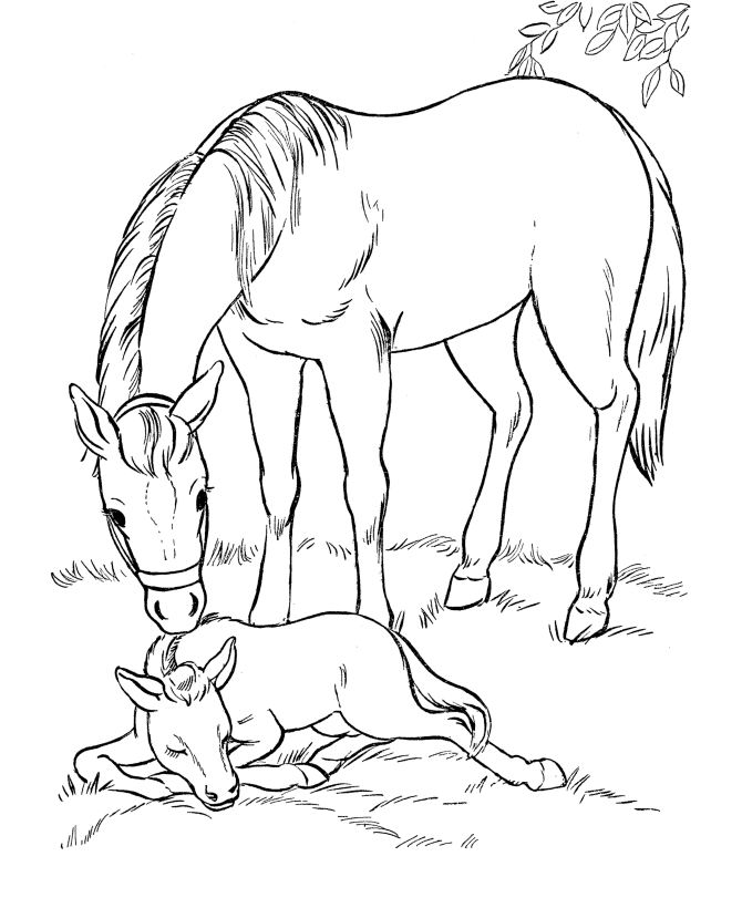 Página para colorir: Horseland (desenhos animados) #53922 - Páginas para Colorir Imprimíveis Gratuitamente