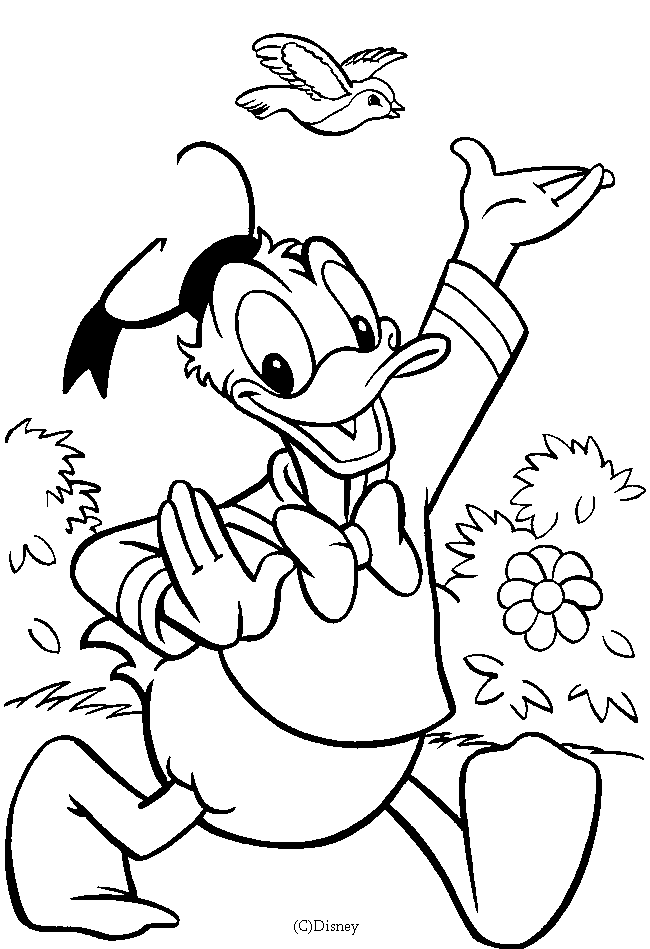 Página para colorir: Pato Donald (desenhos animados) #30159 - Páginas para Colorir Imprimíveis Gratuitamente