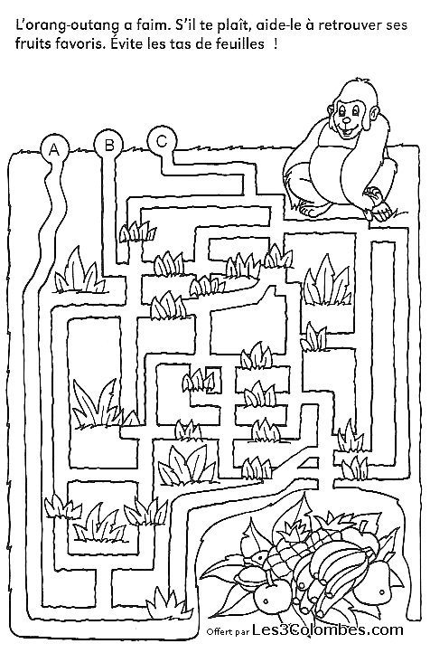 Página para colorir: labirintos (educacional) #126712 - Páginas para Colorir Imprimíveis Gratuitamente