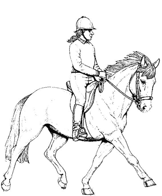 Desenho gratuito Equitação #193458 da colecao Esportes para imprimir Desenho gratuito Equitação #193458 da colecao Esportes para imprimir