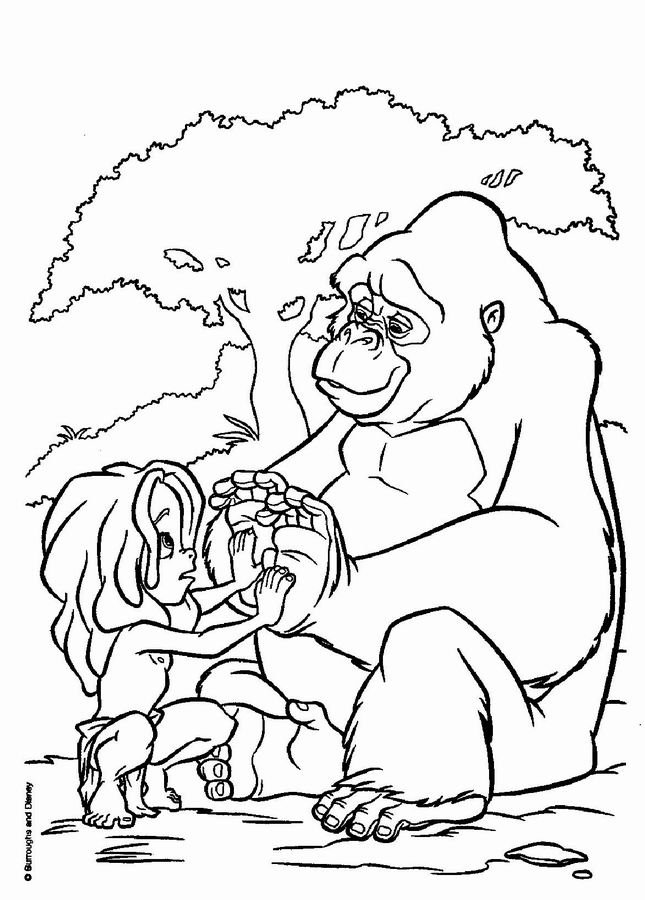 Desenho gratuito Tarzan #131185 da colecao Filmes de Animação para imprimir