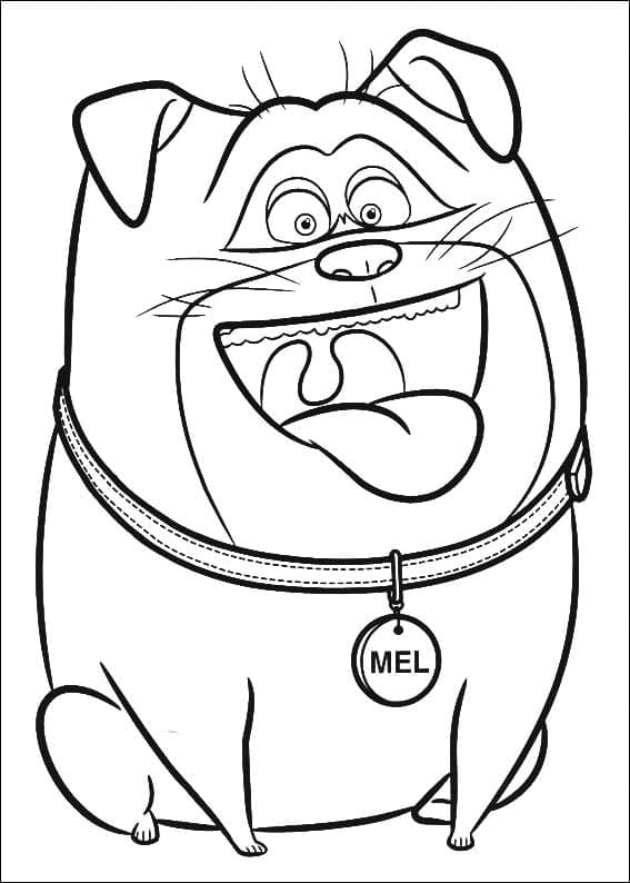 Desenho gratuito The Secret Life of Pets #206633 da colecao Filmes de Animação para imprimir