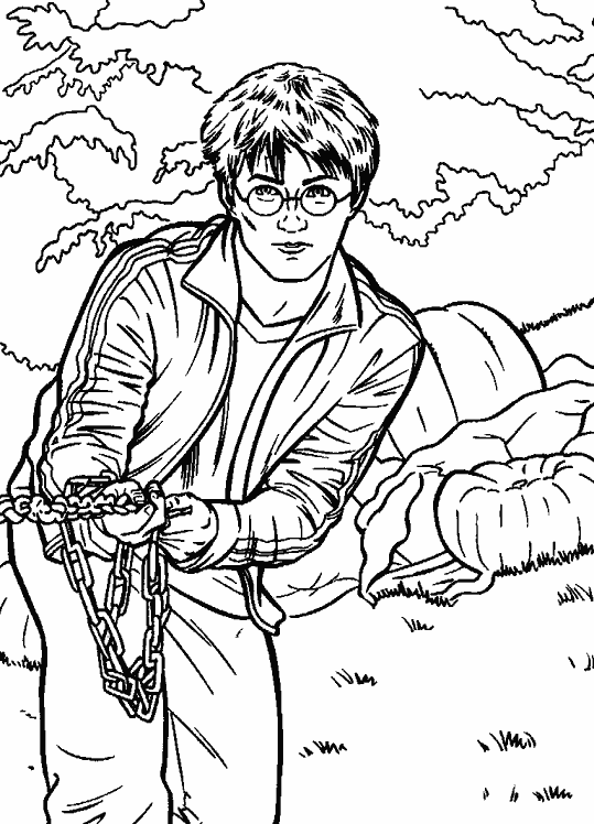Página para colorir: Harry Potter (Filmes e Séries de TV) #69633 - Páginas para Colorir Imprimíveis Gratuitamente