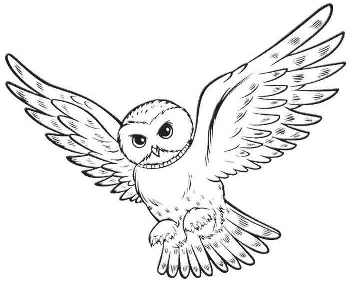 Página para colorir: Harry Potter (Filmes e Séries de TV) #69704 - Páginas para Colorir Imprimíveis Gratuitamente