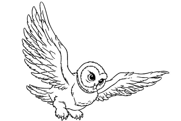 Desenho de Harry Potter #69895 para colorir, da coleção Filmes e Séries de TV, imprimível grátis