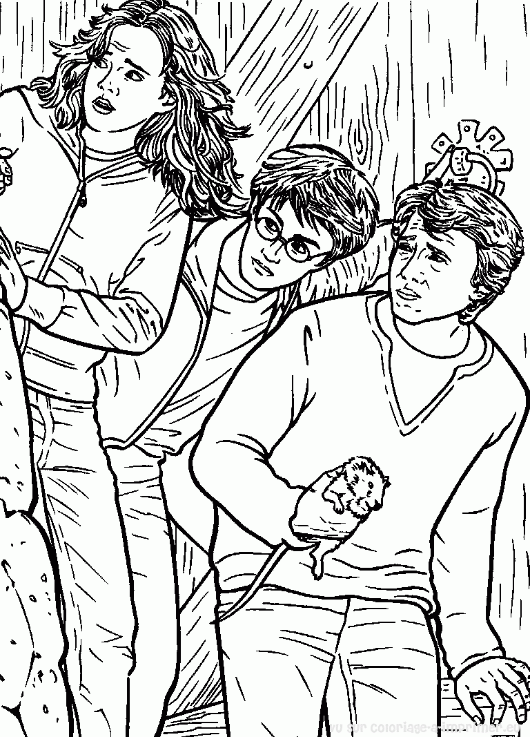 Página para colorir: Harry Potter (Filmes e Séries de TV) #69898 - Páginas para Colorir Imprimíveis Gratuitamente