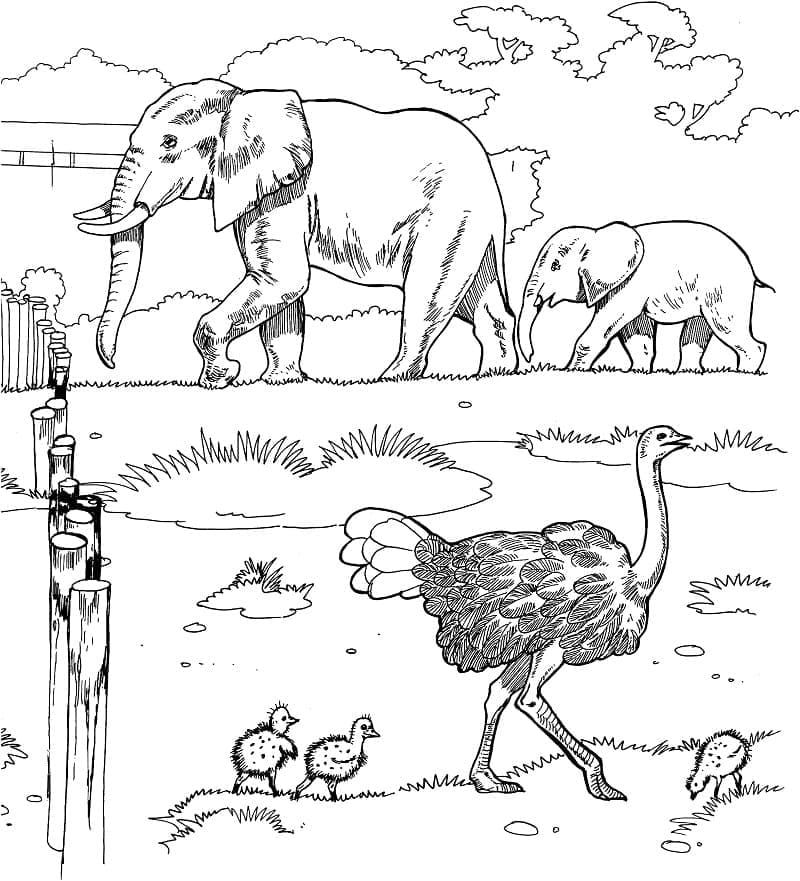 Desenho imprimível de África #193738 para colorir, pertence à coleção Geografia e Lugares