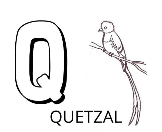 Desenho gratuito Alfabeto Animal #199991 da colecao Letras e Alfabeto para imprimir