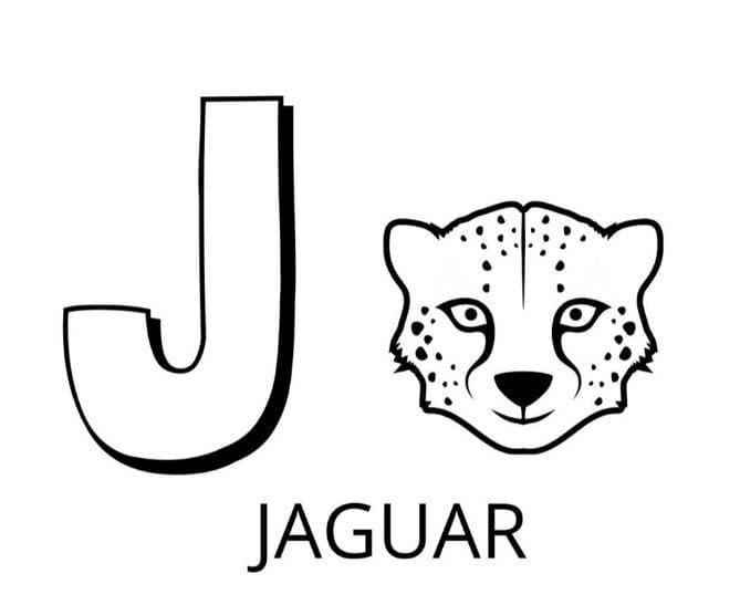 Desenho gratuito Alfabeto Animal #199997 da colecao Letras e Alfabeto para imprimir