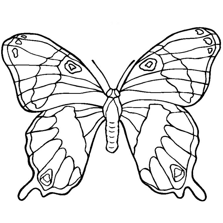 Página para colorir: mandalas de borboleta (mandalas) #117396 - Páginas para Colorir Imprimíveis Gratuitamente