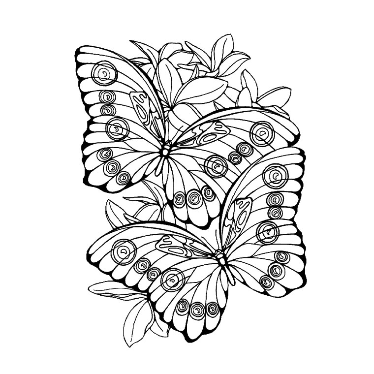 Página para colorir: mandalas de borboleta (mandalas) #117423 - Páginas para Colorir Imprimíveis Gratuitamente