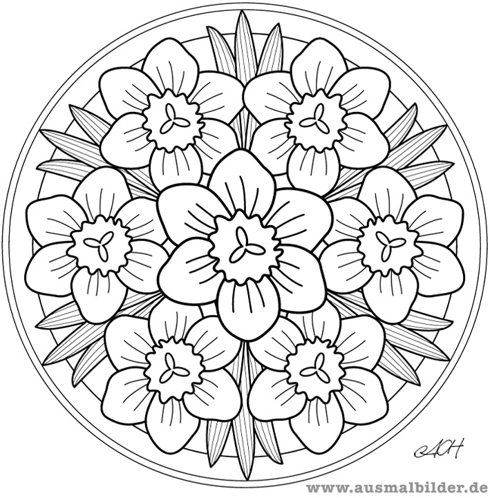 Página para colorir: Mandalas de flores (mandalas) #117049 - Páginas para Colorir Imprimíveis Gratuitamente
