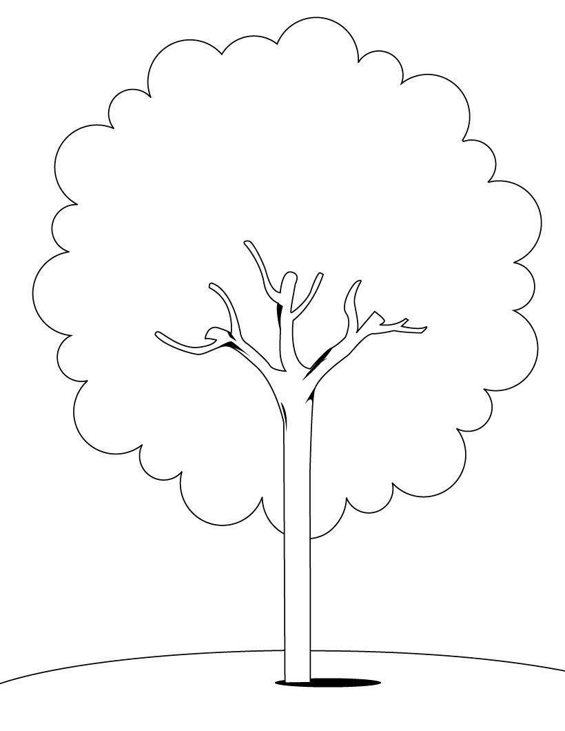 Desenho gratuito Árvore #154670 da colecao Natureza e Estações para imprimir