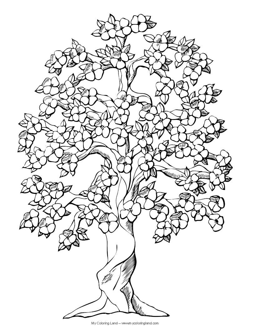 Desenho gratuito Árvore #154739 da colecao Natureza e Estações para imprimir