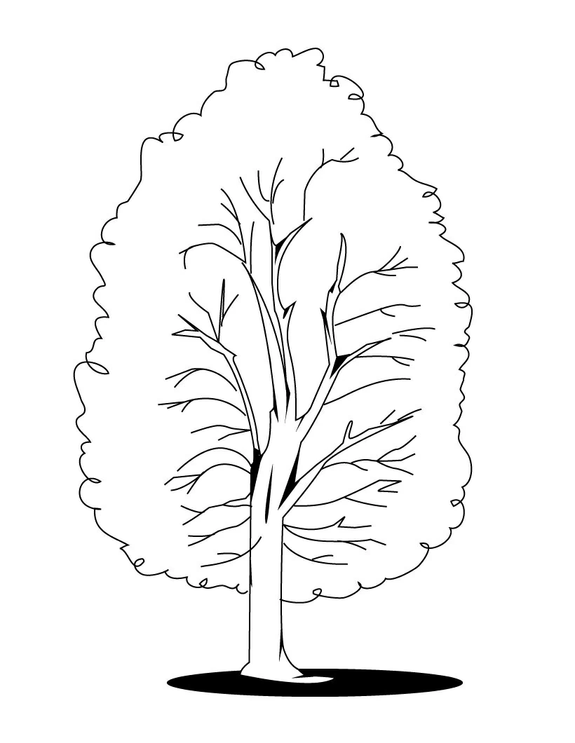 Desenho gratuito Árvore #154791 da colecao Natureza e Estações para imprimir Desenho gratuito Árvore #154791 da colecao Natureza e Estações para imprimir