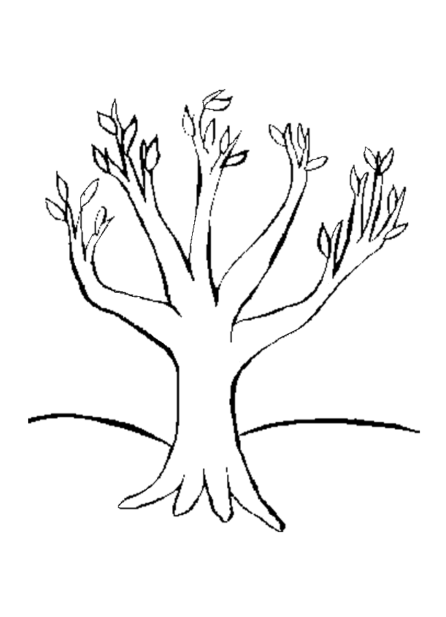 Desenho gratuito Árvore #154810 da colecao Natureza e Estações para imprimir