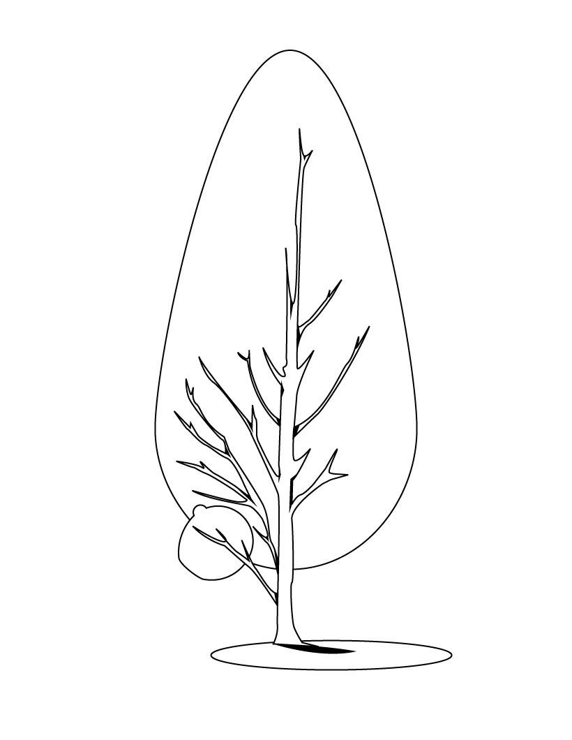 Desenho gratuito Árvore #154824 da colecao Natureza e Estações para imprimir