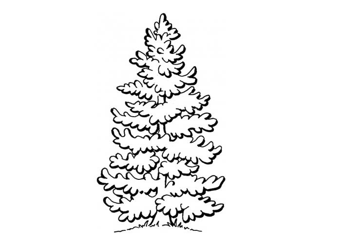 Desenho gratuito Árvore #154909 da colecao Natureza e Estações para imprimir Desenho gratuito Árvore #154909 da colecao Natureza e Estações para imprimir