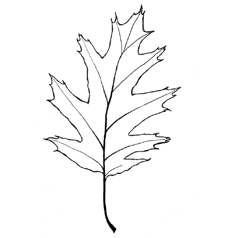 Desenho gratuito Árvore #154919 da colecao Natureza e Estações para imprimir Desenho gratuito Árvore #154919 da colecao Natureza e Estações para imprimir