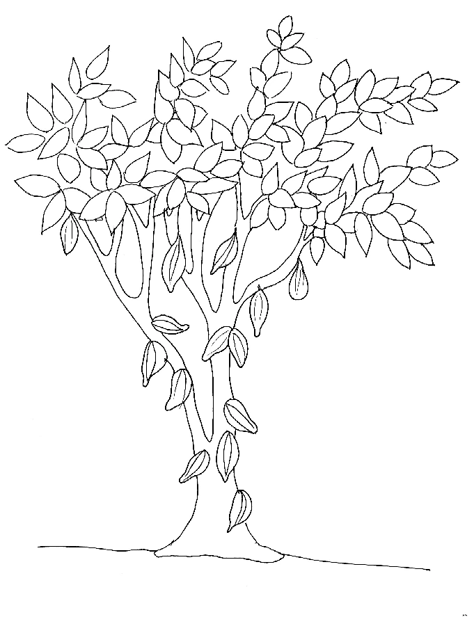 Desenho gratuito Árvore #154928 da colecao Natureza e Estações para imprimir Desenho gratuito Árvore #154928 da colecao Natureza e Estações para imprimir