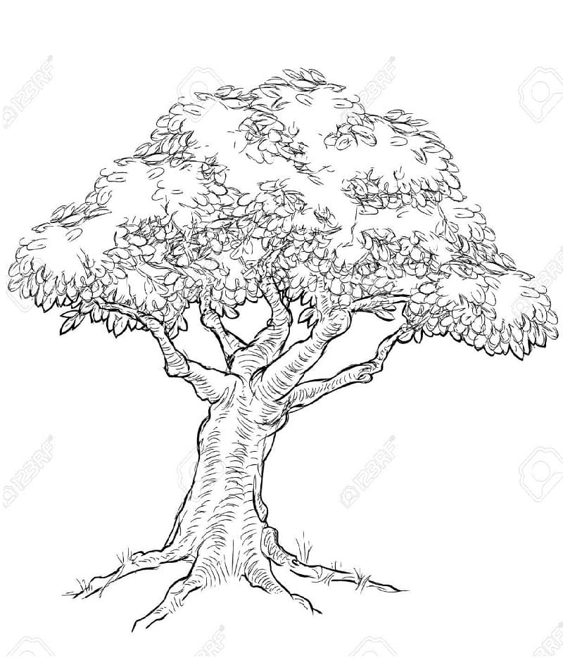 Desenho imprimível de Árvore #190436 para colorir, pertence à coleção Natureza e Estações