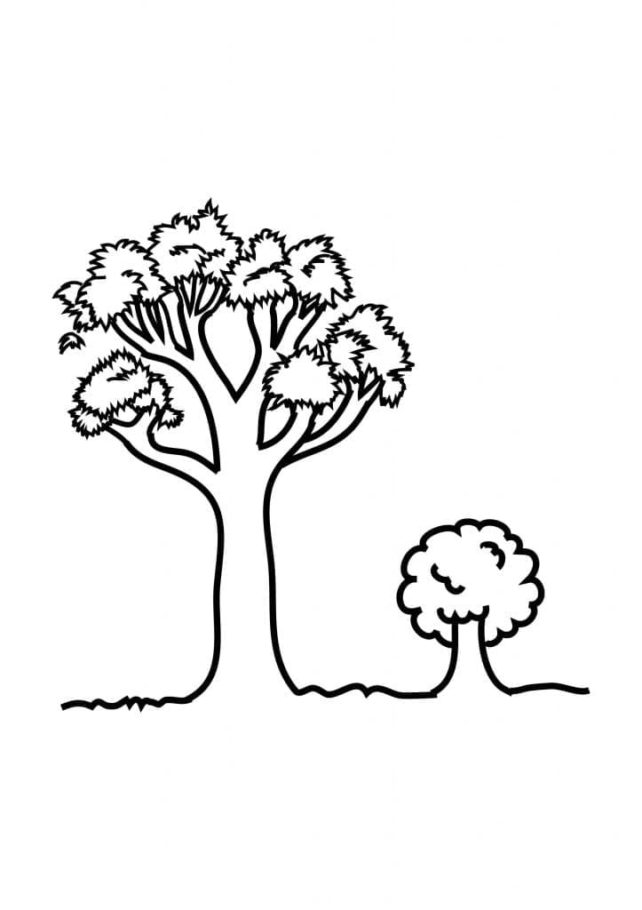Desenho gratuito Árvore #190479 da colecao Natureza e Estações para imprimir