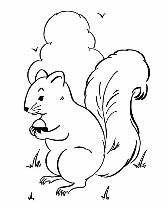 Desenho gratuito Bolota #218502 da colecao Natureza e Estações para imprimir