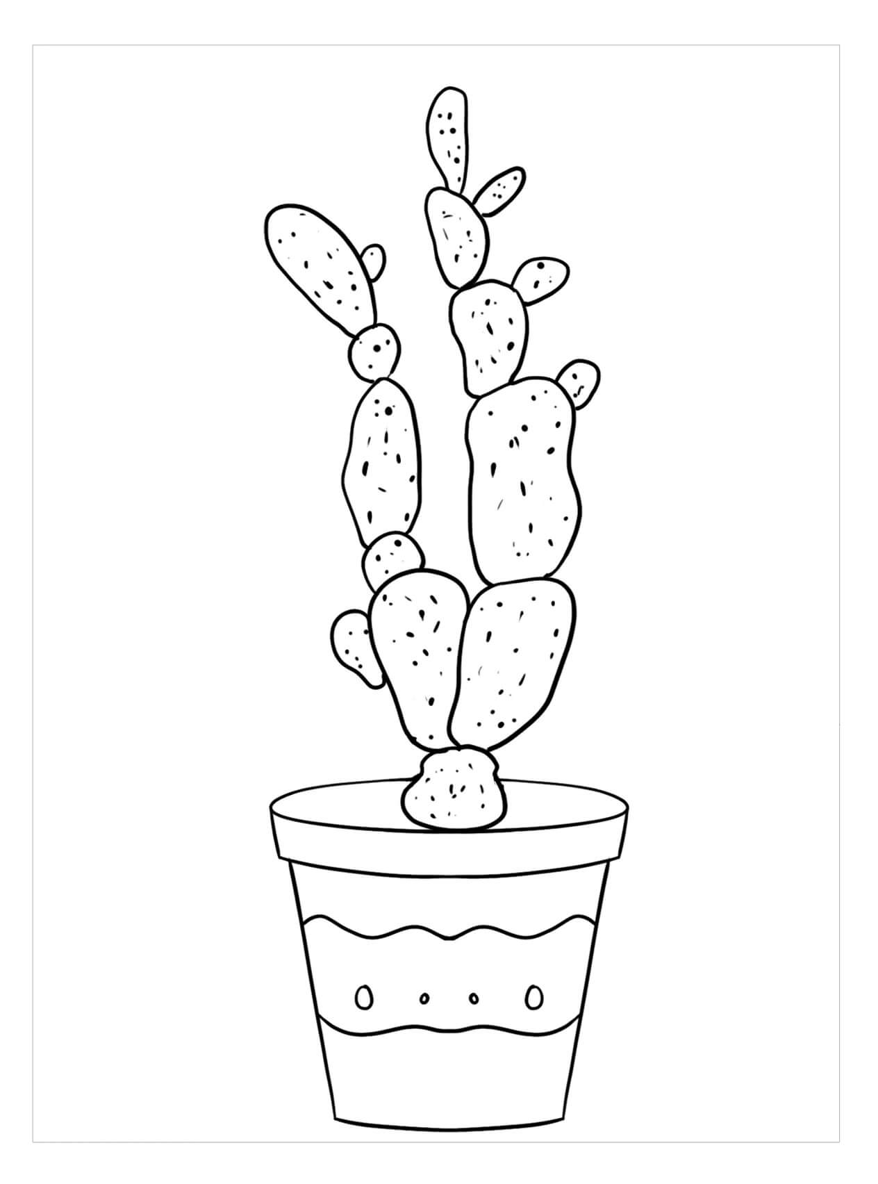Desenho gratuito Cacto #170845 da colecao Natureza e Estações para imprimir